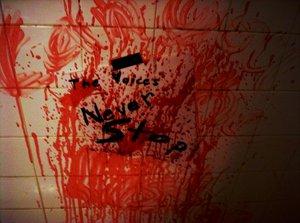 Voices_Within_by_Foxtail_Tygereye.jpg